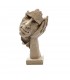 Statueta Ganditorul
