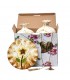 Set vaze + farfurie DAFINA