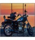 Tablou Motocicleta BT150-11