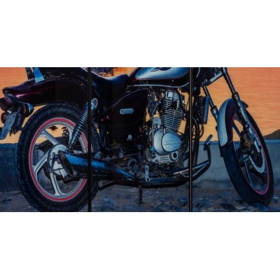 Tablou Motocicleta BT150-11