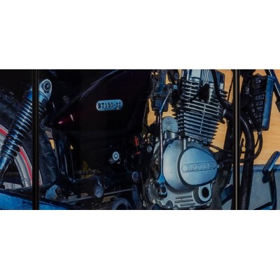 Tablou Motocicleta BT150-11