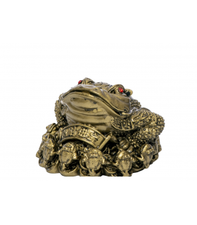 Broscuta feng shui II