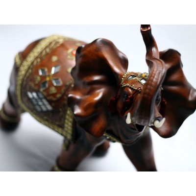 Elefant INDIAN