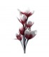 plante decorative