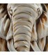 Tablou Metal Art 06 - Elefant 06
