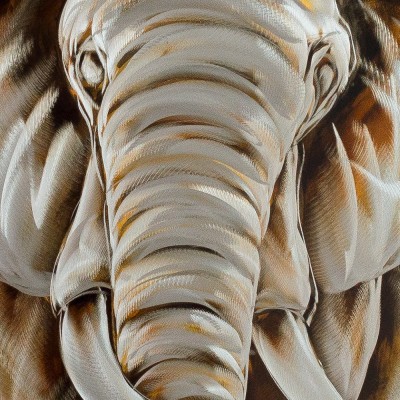 Tablou Metal Art 06 - Elefant 06